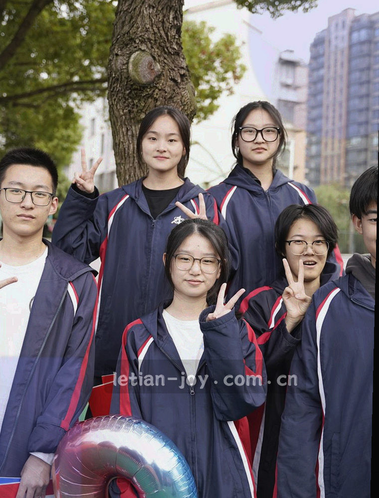 移动端首屏布局示意，高频功能集中在可见区域顶部